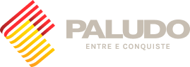 Partner 5